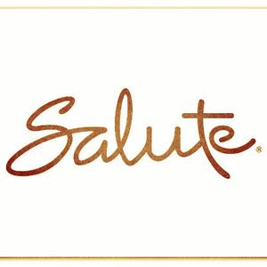 Picture for song 'Salute - Devezin.com' by artist 'Devezin'