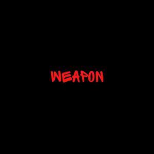 Picture for song 'Weapon' by artist 'DJ Mauri B'