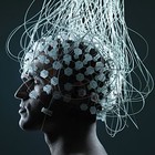 Picture for song 'Euthanasical - Brain f***' by artist 'Evtanazikal'