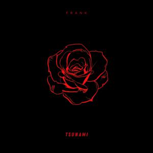 Picture for song 'TSUNAMI Detroit type beat Payroll Giovanni' by artist 'FRANK BT'