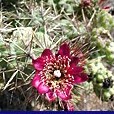Picture for song 'Rancho Palos Verde' by artist 'hottub'