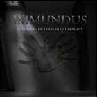 Picture for song 'Transition' by artist 'Immundus'
