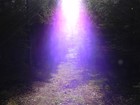 Picture for song 'A New Day' by artist 'jens brandt'