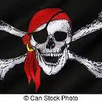 Picture for song 'Skull & Crossbones ((Stereo))' by artist 'Johanna Renfro'