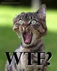 Picture for song 'WTF' by artist 'Junior Black'