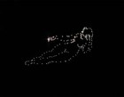 Picture for song 'We The Constellation (Get Downin).mp3' by artist 'King Phlye'