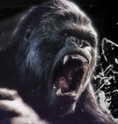Picture for song 'LOCKIN' by artist 'KONG BEATZ'