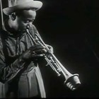 Picture for song 'JaZZ Ass cat fly Bird Willy' by artist 'LEGACEYBEATS'