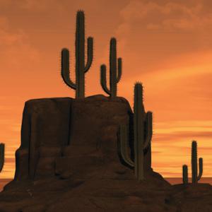 Picture for song 'Yayo' by artist 'Lilly Elixabeth'