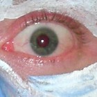 Picture for song 'Alice D.mp3' by artist 'Lord-Shivas-Dream 2.5'