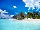 Picture for song 'Join Me In Paradise (REAL MUSIC)' by artist 'Mr.Kooman'
