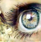 Picture for song 'Amelia's Wish' by artist 'Nightminstrel'