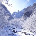 Picture for song 'Ice Queen' by artist 'Primo Audio Beats'