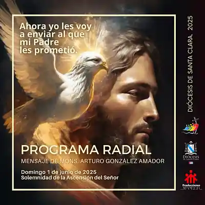 Picture for song 'La Ascension del Señor, 1ero de junio' by artist 'Producciones Vandor'