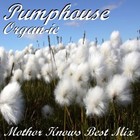 Picture for song 'Organ-ic (Mum Knows Best Mix)' by artist 'Pumphouse'