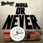 Picture for song 'Now Or Never' by artist 'Ray Rich (On Da Beat)'
