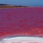 Picture for song 'Dead Tides Rise (demo)' by artist 'Red Wound'