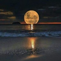 Picture for song 'The Oceans Kiss ' by artist 'Ricky Boyles'