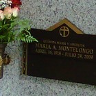 Picture for song '"FALLING"' by artist 'ROZROK51'