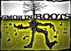 Picture for song 'Ray's Blues' by artist 'Smokin Roots'