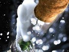 Picture for song 'Campaign Bottles' by artist 'Star Command Beatz'