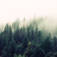 Picture for song 'Change' by artist 'Taylor Supreme'