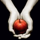 Picture for song 'The forbidden fruit (east coast) Free DL' by artist 'The Sempler'