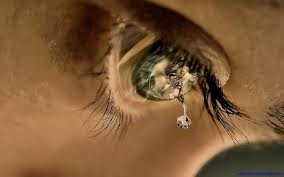 Picture for song 'I cRy.Hot Track A Must Listen' by artist 'theSilverLining'