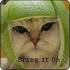 Picture for song 'Kean Cat' by artist 'Thin White Dude'