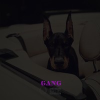 Picture for song 'GANG' by artist 'VIBE KILLA'