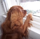 Picture for song 'Theo' by artist 'Viking Blues'