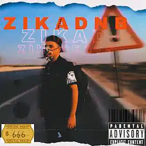 Picture for song 'TYBE BEAT DnB ZIKA EL GENRAL 2023' by artist 'zika'