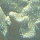 Picture for song 'DANCEPARTNER.mp3' by artist 'ZZAFTY'