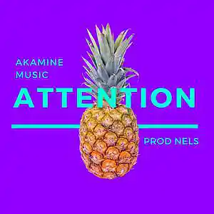 Picture for song 'Attention (kaytranada x daft punk) 113bpm E' by artist 'Akamine'