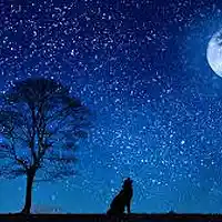 Picture for song 'Moon-prodbykayready' by artist 'Beats by KayReady'