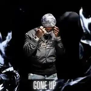 Picture for song '"Gone Up" EST Gee & Nardo Wick Type Beat' by artist 'D V 1 R V E R S BEATS'