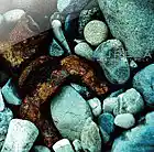 Picture for song 'Eurasian Plate' by artist 'EUREKA mixing console'