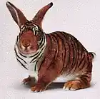 Picture for song 'Doubtless' by artist 'Fear 2 Stop'