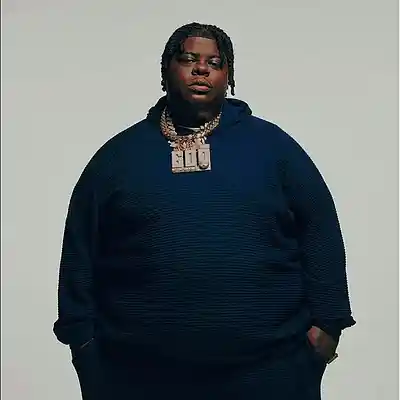 Picture for song 'BigXthaPlug Type Beat "Take A Chance"' by artist 'flaybee'