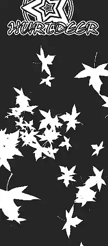 cover pic