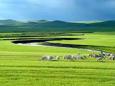 Picture for song 'Grasslands of Time ***FREE DOWNLOAD***' by artist 'Hi-Fi Avengers'