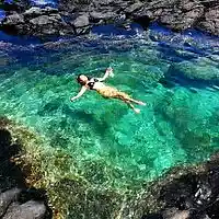 Picture for song 'Tidepools ((Stereo))' by artist 'Johanna Renfro'