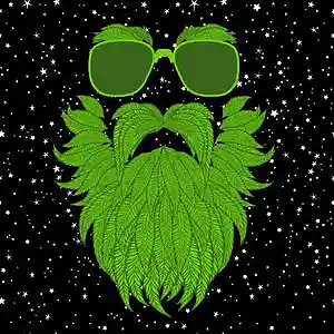 Picture for song 'WOW.' by artist 'Kaine Summer'