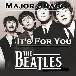 Picture for song 'Its For You (Guitar instrumental version)' by artist 'Major Snagg'