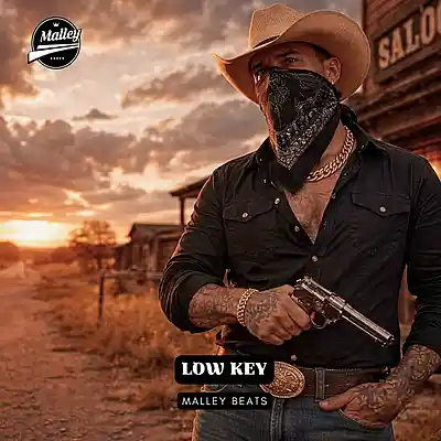 Picture for song 'LOW KEY [BIGXTHAPLUG COUNTRY TRAP TYPE BEAT]' by artist 'Malley Beats'