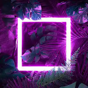 Picture for song 'Light Up!' by artist 'Pampush'