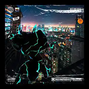 Picture for song 'Nocturnal Vigilante' by artist 'Prod. By Libra'