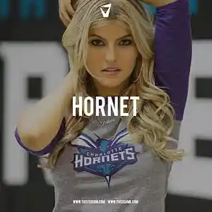 Picture for song 'Hornet' by artist 'www.beat.lease'