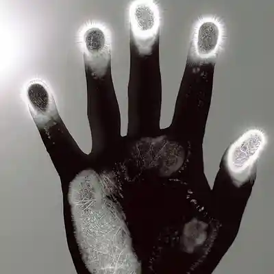 Picture for song 'Jacob' by artist '017'