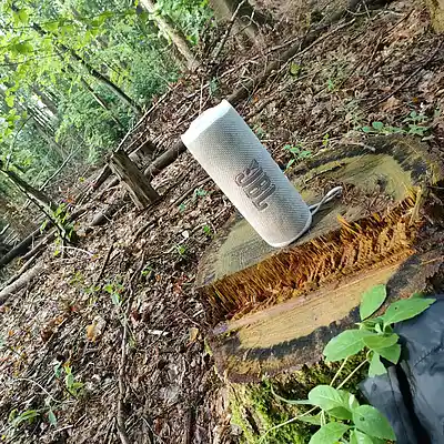 Picture for song '20240606_173519_786_fs' by artist '786 scheint-Al'lahs Bande'